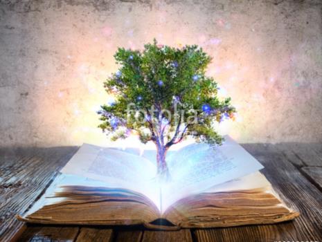 fotolia_19130173 