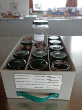 laboratorio botanico3 