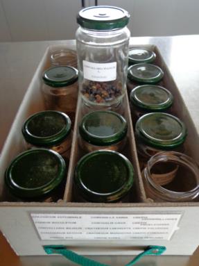 laboratorio botanico4 