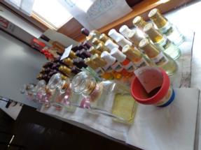 laboratorio botanico6 