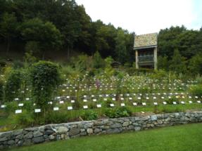 orto botanico1 