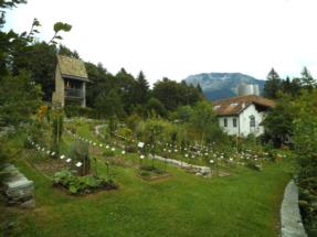 orto botanico2 