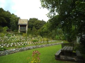 orto botanico3 