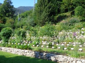 orto botanico5 