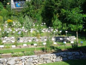 orto botanico6 