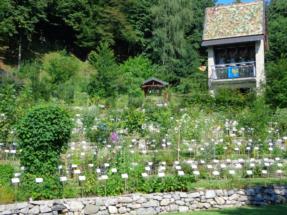 orto botanico8 