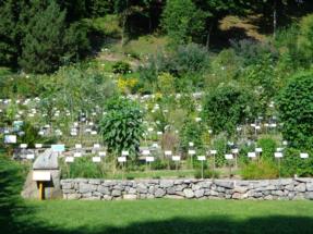 orto botanico9 