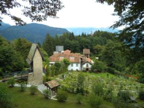 orto botanico 